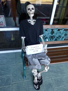 This guy hangs out at the Destin Yarn Shop, Miramar Beach, FL 850-650-0006.