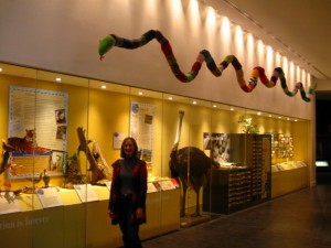 Yarnboa on display (small)
