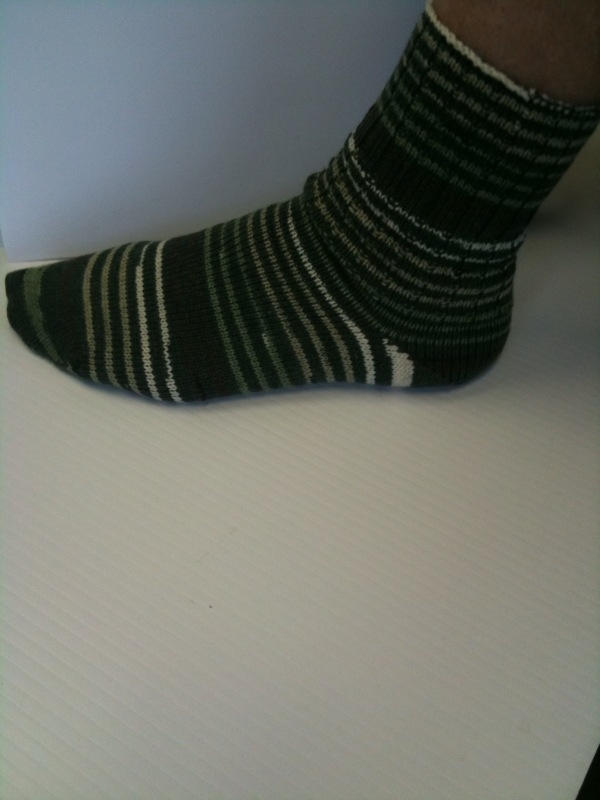 Bungee Sock Yarn