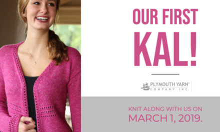 Our First Knit Along – March 1, 2019!