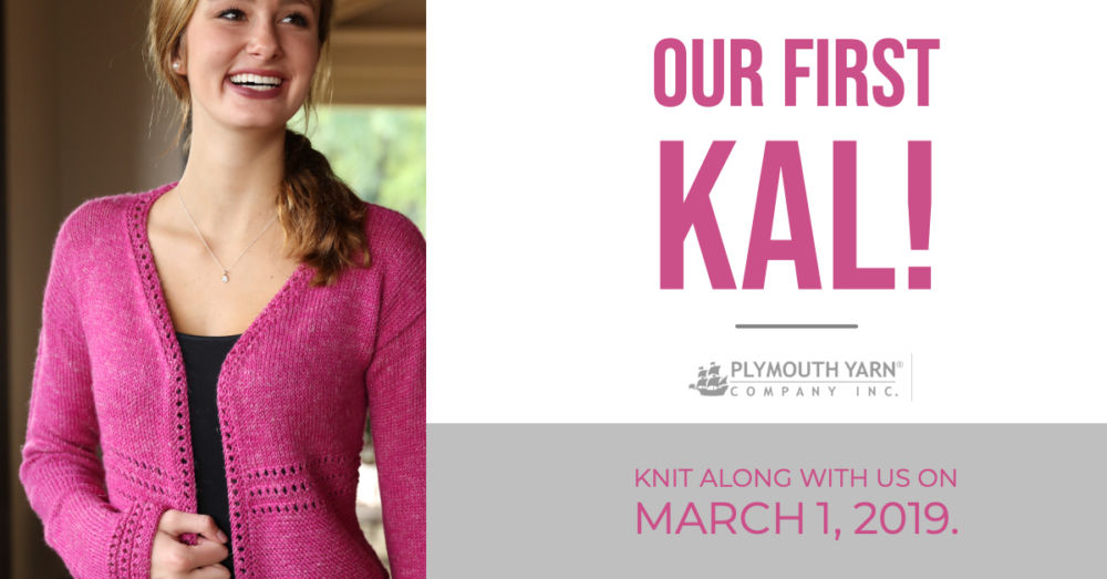 Our First Knit Along – March 1, 2019!